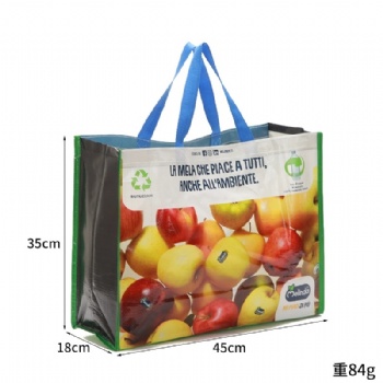 Non Woven Lamination Polypropylene Grocery Shopping Bag with zipper top