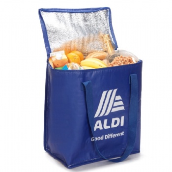 ALDI insulated cooler bag