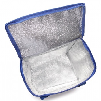 ALDI insulated cooler bag