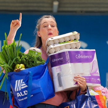 ALDI insulated cooler bag